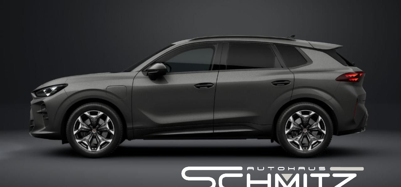 Cupra Terramar - Bild 2