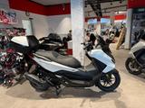 Honda Forza 125 Matt Cool White *sofort verfügbar* - HONDA ROLLER 125