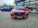 Mazda CX-30 SKYACTIV-G 2.0 M Hybrid Prime Line - Mazda CX-30: Prime Line
