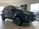 Ford EcoSport 1.0 EcoBoost Titanium Leder Kamera - Ford EcoSport 1.0 Gebrauchtwagen