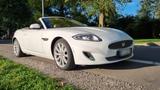 Jaguar XK 5.0 V8 Cabriolet - scheckheftgepflegte Jaguar XK8