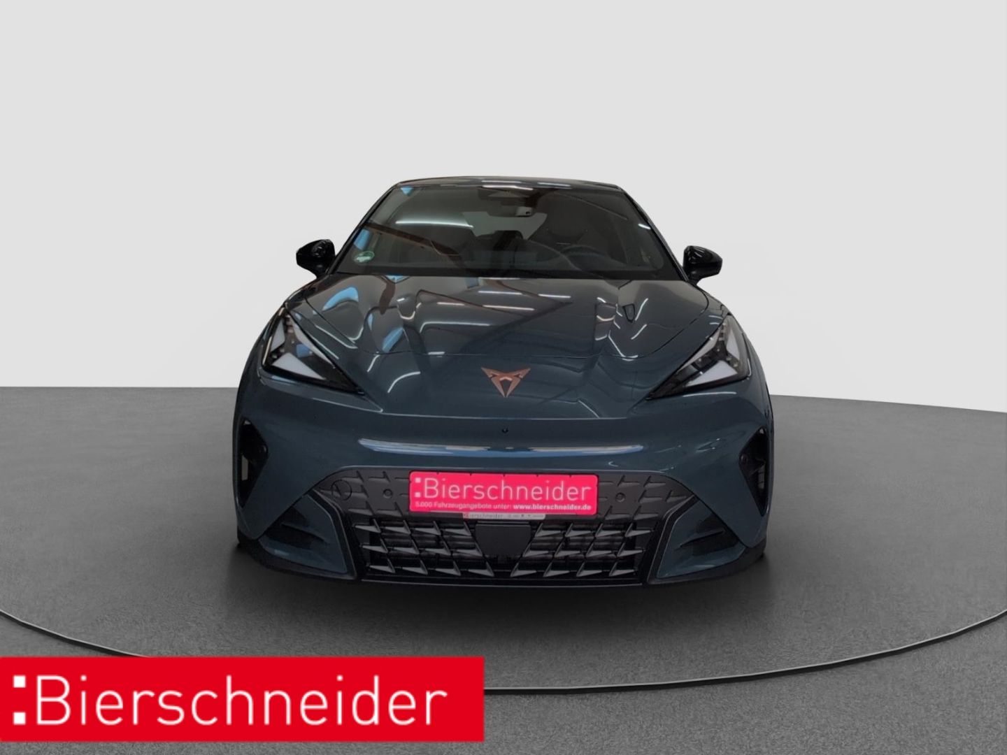 Cupra Raval Endurance Edition NAVI RFK MATRIX ACC imagem 2