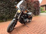 Harley-Davidson XL 883R Sportster R - Offers matching your search criteria
