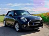 MINI Cooper Cabrio Chili,LED, SHZ, RFK, Leder, etc... - MINI Cooper Cabrio: Kleinwagen