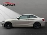 BMW 218 Coupe Advantage PDC*8-FACH*TOP* - BMW mit Benzin-Antrieb: Coupe, Grau