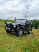 Mercedes-Benz G 500 V8, AHK, TÜV und Inspektion neu, kein Rost - Mercedes-Benz G-Class mit Benzin-Antrieb