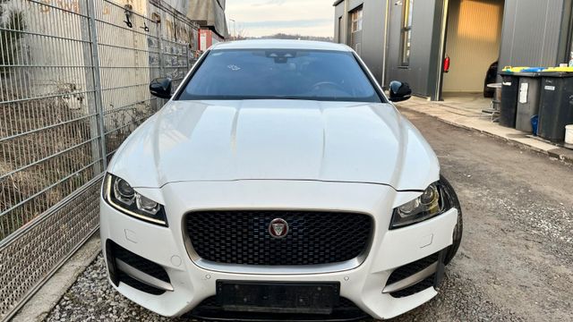 Jaguar XF 30d *R-Sport*Head-Up*Sportfahrwerk*