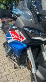 Moto Guzzi Stelvio Duecento Tributo am Lager! - Moto Guzzi Stelvio Duecento Tributo