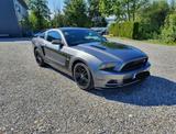 Ford Mustang GT California Special  - Ford Mustang aus 2013