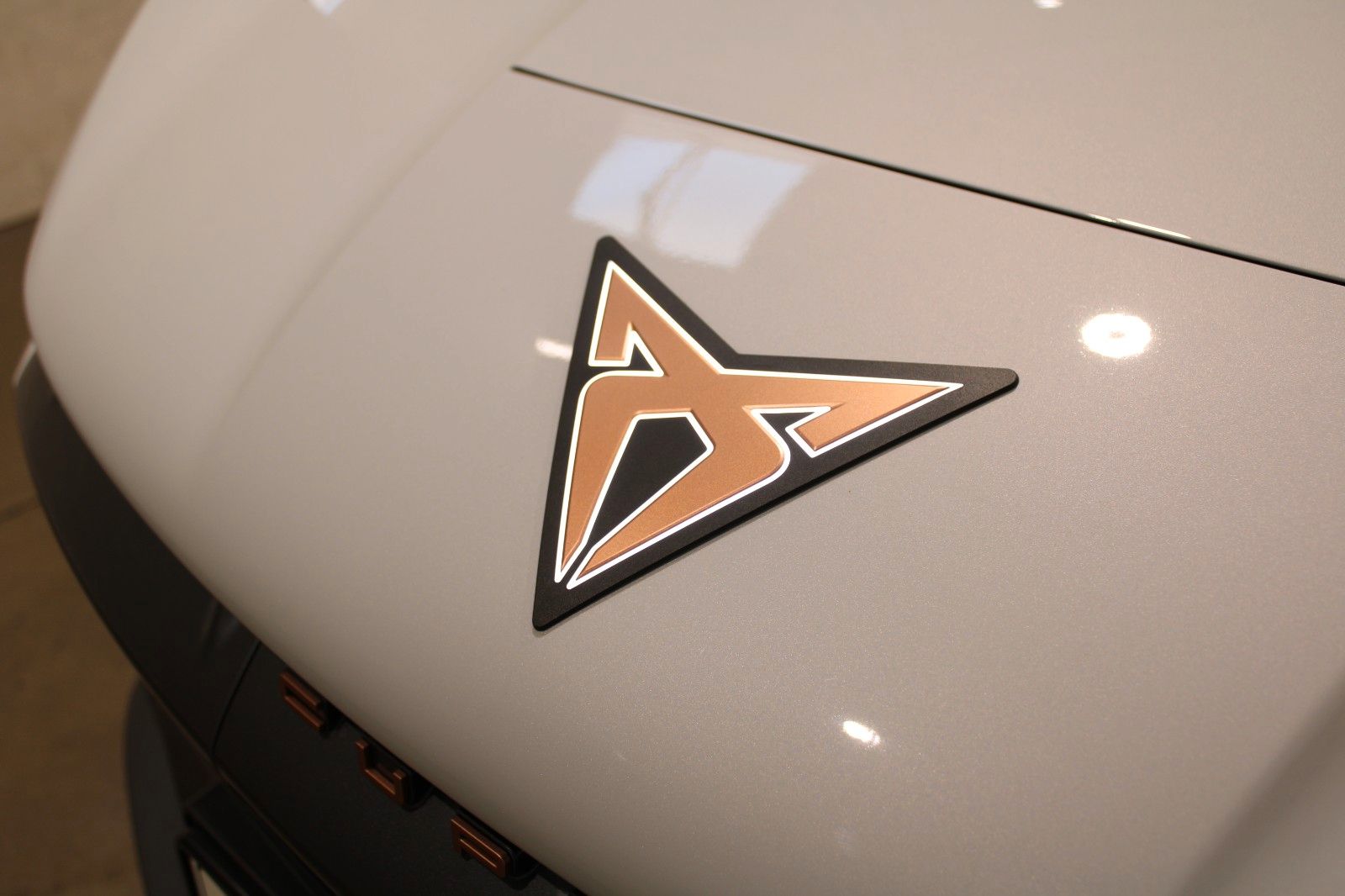 Cupra Tavascan - Bild 21