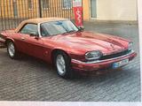 Jaguar XJS Cabrio - Jaguar XJS von privat