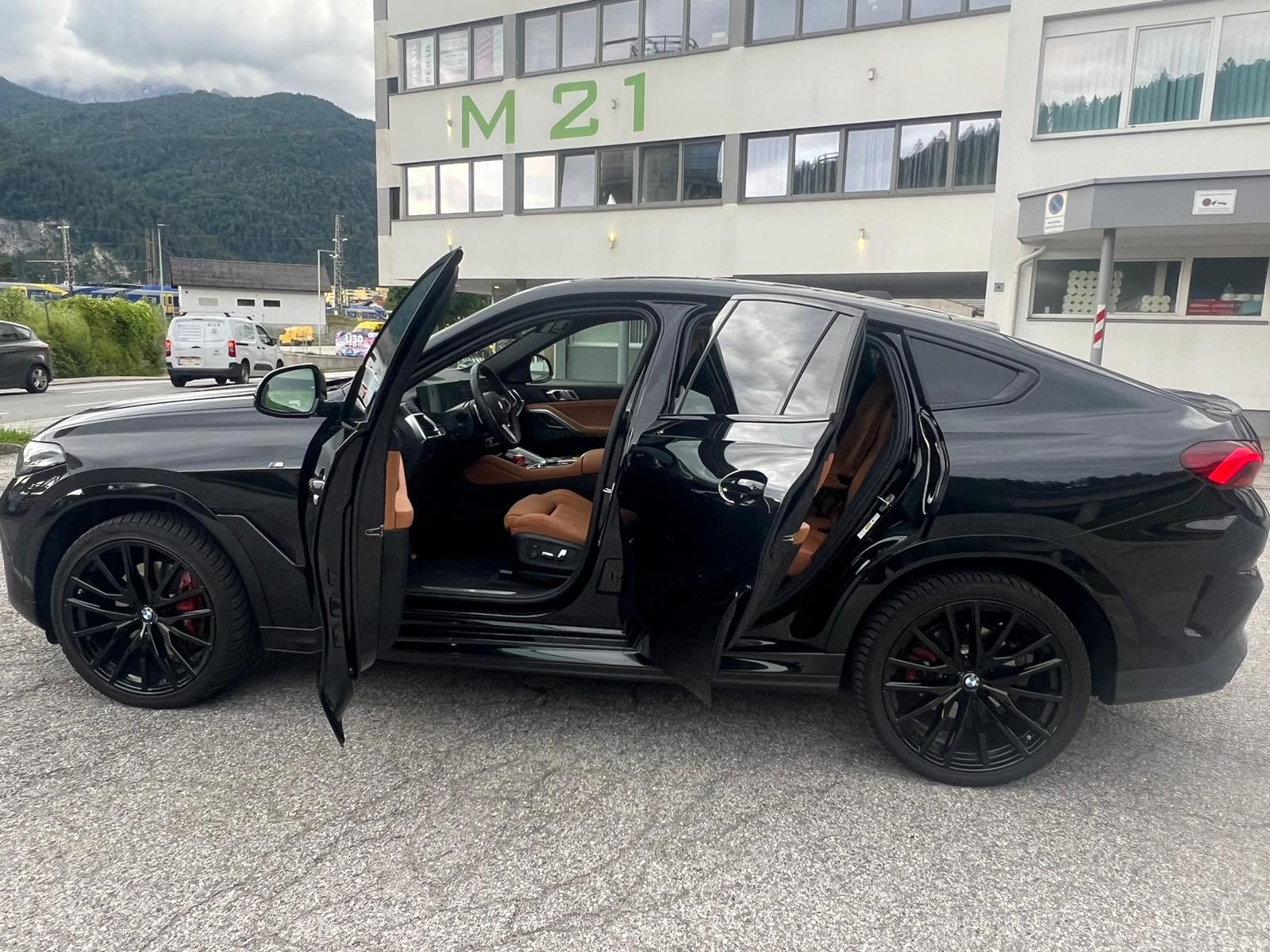 BMW X6 30d xDrive M SportpaketPRO /Leder Braun/Luftf