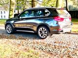 BMW X5 xDrive40e - High Executive - Neue Hybrid Akku - BMW: E40