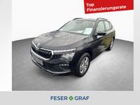 Skoda Kamiq - Vorschau Bild 1