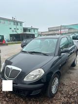 Lancia Ypsilon 1.3 Multijet 16V Platino ok neo p - Lancia Ypsilon aus 2005
