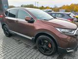 Honda CR-V 1.5 VTEC Turbo 4WD Lifestyle Lifestyle - Honda Gebrauchtwagen in Duisburg