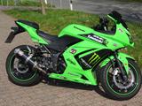 Kawasaki Ninja 250R Monster Edition - KAWASAKI NINJA 250R