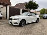 BMW M240i Cabrio -ohne OPF! M-Performance Auspuff - Auspuff gebraucht