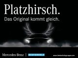 Mercedes-Benz Marco Polo 300 d EDITION 360° Stdhzg Sportpak