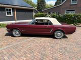 Ford Mustang Convertible 1965 6 zylinder Burgundy - Ford Mustang Oldtimer: Roadster