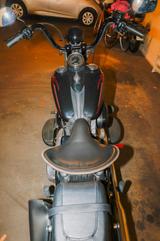Harley-Davidson Cross Bones - CHOPPER CRO