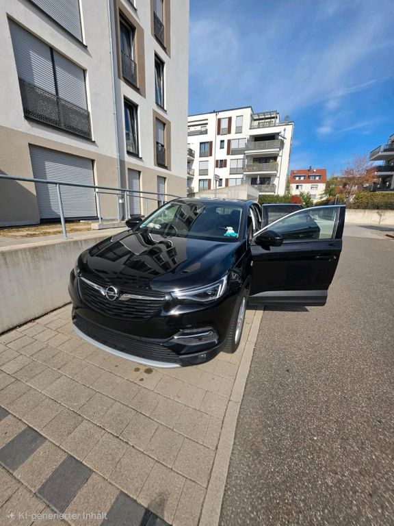 Image of Opel Other