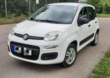 Fiat Panda - Fiat Panda von privat