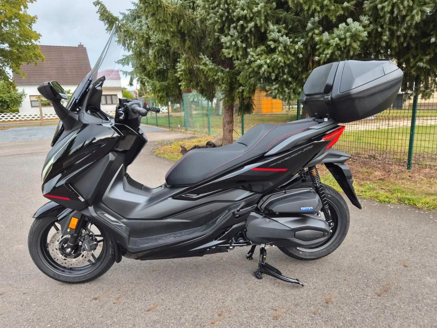 Honda NSS Forza 350 Edition 2026 Tageszulassung