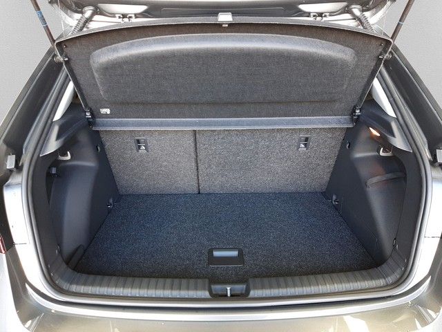 Fahrzeugabbildung Skoda Fabia Tour 1.0TSI DSG AHK SHZ PDC Kamera 16"