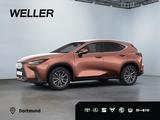 Lexus NX 450h+ E-FOUR Executive Line *360*Navi*LED*SHZ - Lexus NX 450h Tageszulassungen