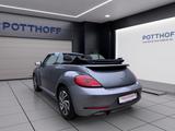 Volkswagen Beetle Cabriolet 1.2 TSI SOUND NAVI SITZHZG PDC  - Volkswagen Beetle: Sound