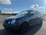Volkswagen Polo 1.4TDI Comfortline Comfortline - Volkswagen Polo aus 2004: TDI