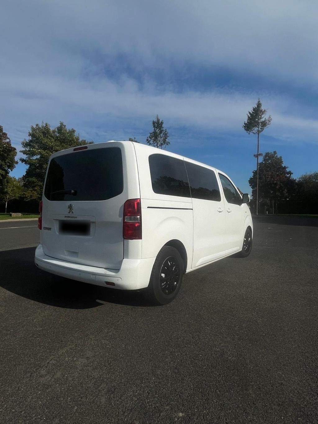 Peugeot Expert Traveller 2,0l BlueHDi
