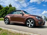 Volkswagen Beetle Cabriolet 1.4 TSI BMT  ALLSTAR - VW Beetle von privat