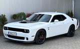 Dodge Challenger 6,4 SRT Shaker*Scat Pack*6.Gang*Leder - Dodge: Srt