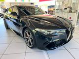 Alfa Romeo Giulia Quadrifoglio 2.9 V6 Bi-Turbo - Alfa Romeo Giulia quadrifoglio mit Benzin-Antrieb