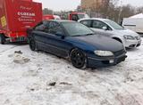 Opel Verkaufe Opel Omega B 2,5 V6 - Opel Omega: 2.5