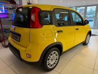 Fiat Panda 1.0 GSE 51kW Mild-Hybrid *City Paket*