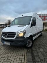 Mercedes-Benz Mercedes Benz Sprinter 313 CDI Maxi - Mercedes-Benz Sprinter: 313 Cdi Maxi