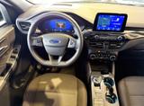 Ford Kuga Duratec FHEV 4x4 ST-LINE PANO+KAM+AHK+18* - Ford Kuga FHEV Gebrauchtwagen