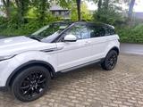 Rover Auto Zuverkaufen - Rover Gebrauchtwagen