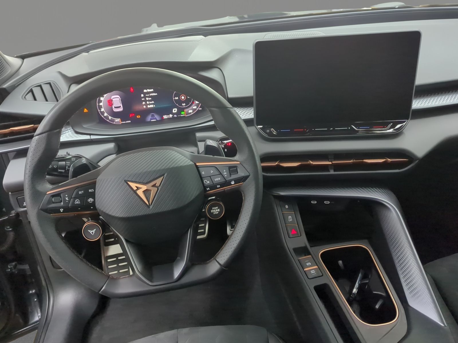 Cupra Terramar - Bild 9