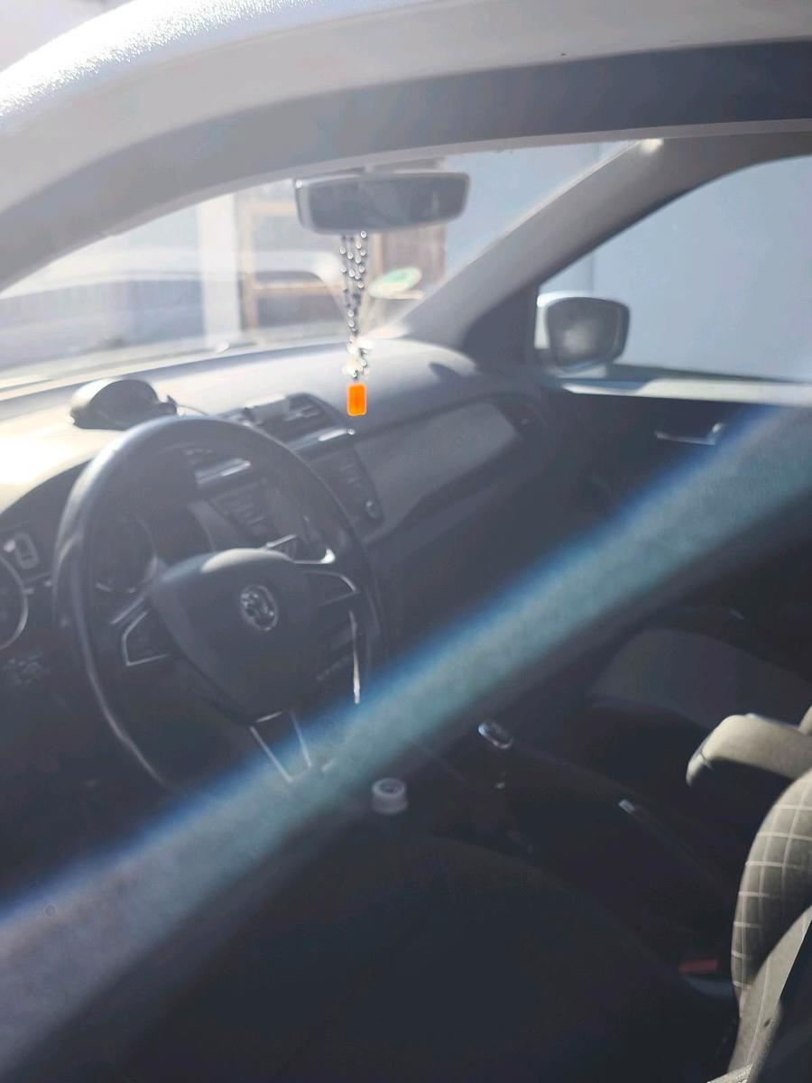 Skoda Fabia 2015 — photo 15