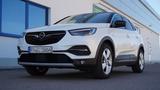 Opel Grandland 1.5 D 96kW /B. Inn./360°/PartPilot/SH