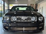 Ford Mustang GT 4.6 V8 Coupe Roush Stage1/ 2.Hand - Ford aus 2007