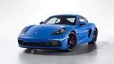 Porsche Cayman (718) GTS 4.0 | Approved bis 04.2028 | - Porsche Cayman: Sportwagen