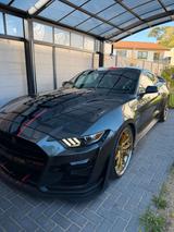 Ford GT 500 - Ford GT: Sportwagen
