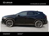 Lexus NX 450 h+ E-Four Business Line - Lexus NX 450h Tageszulassungen