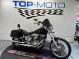 Harley-Davidson FXST Softail Standard Speichen Sissybar Koffer - HARLEY-DAVIDSON SOFTAIL STANDARD FXST