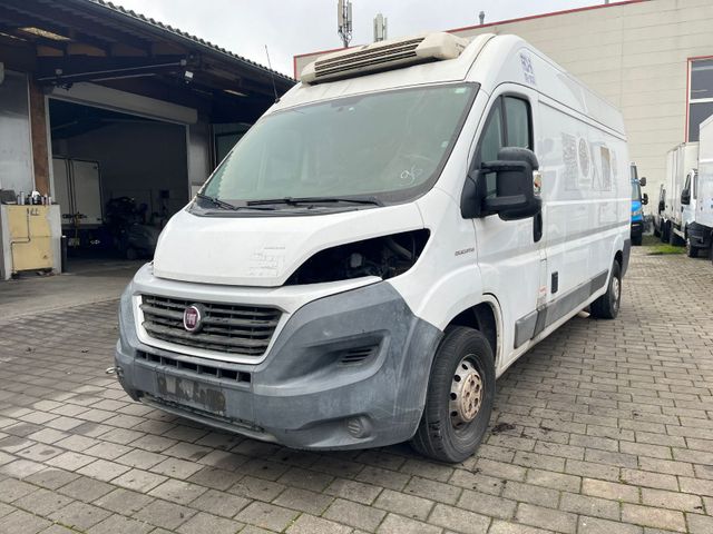 Fiat Ducato*Thermo-King V-300*Klima*Kühlkasten*Maxi*